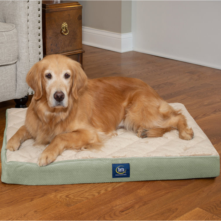 Serta Quilted Pillowtop Pet Bed & Reviews Wayfair